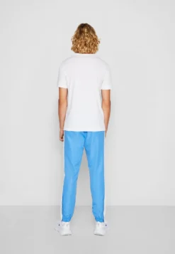 Lacoste Sport Big Logo - Sport T-Shirt - White/Kingdom -Lacoste Sport 04937ef02b30434cb5a1db8899b2a509 scaled