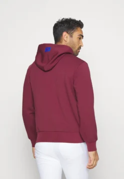 Lacoste Sport Golf Sport Club Hoody - Hoodie - Zin -Lacoste Sport aed956c82b3d49b2baaacbeb0697c1ce scaled