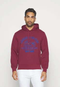 Lacoste Sport Golf Sport Club Hoody - Hoodie - Zin
